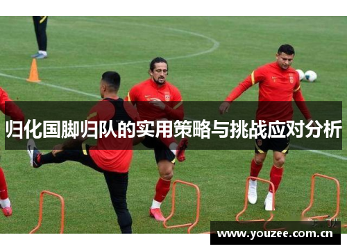 归化国脚归队的实用策略与挑战应对分析