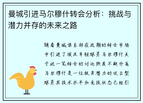 曼城引进马尔穆什转会分析：挑战与潜力并存的未来之路